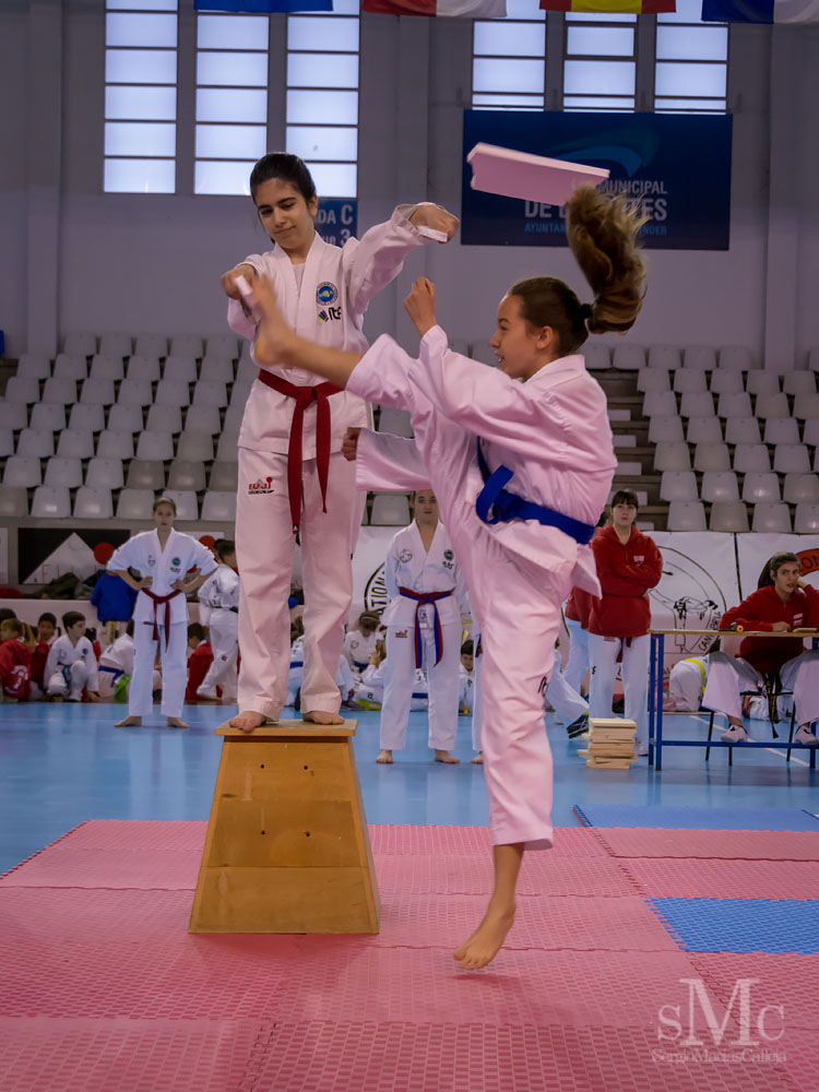 TAEKWONDO CAMPEONATO PAREJAS ABRIL 2018_1961.jpg
